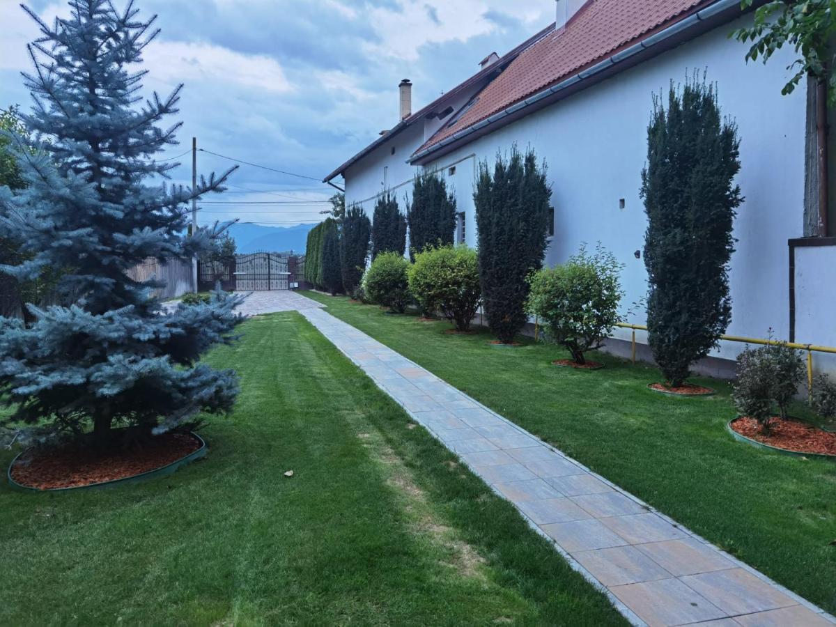 Hotel Janine Garden Braşov Exterior foto